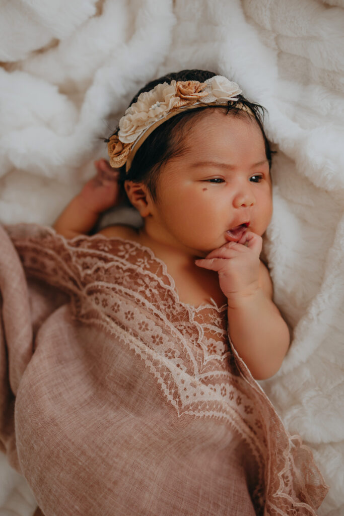 baby girl newborn photography edmonton
