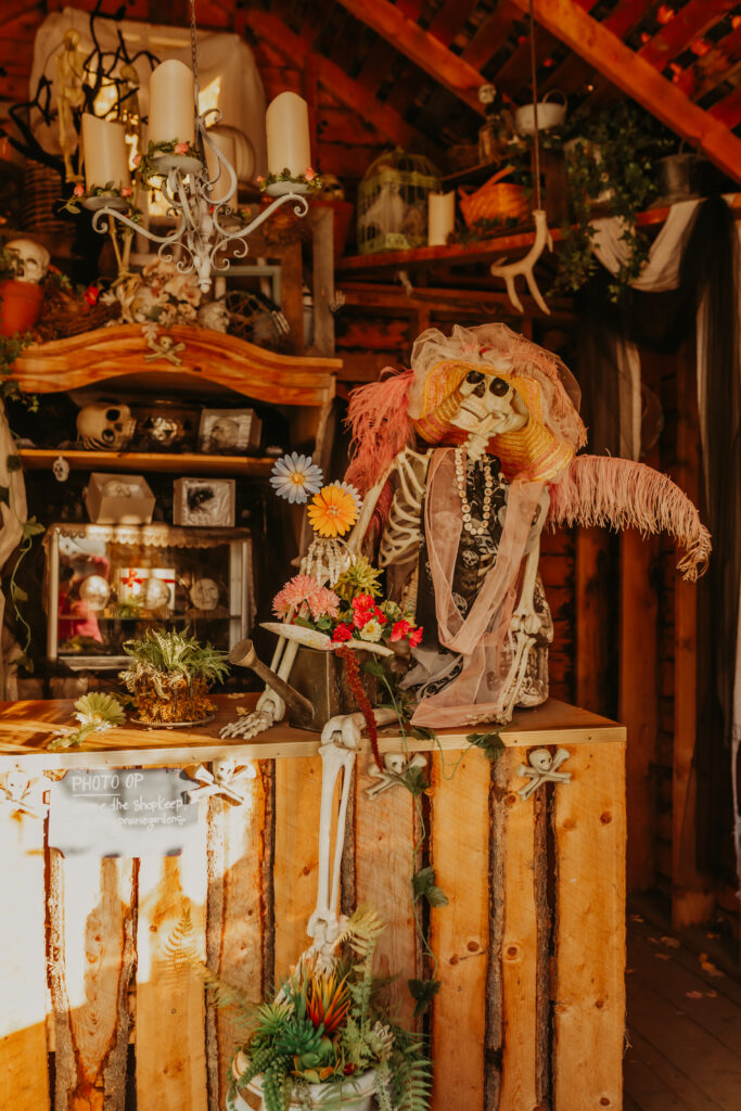 Edmonton's best halloween activity for young families