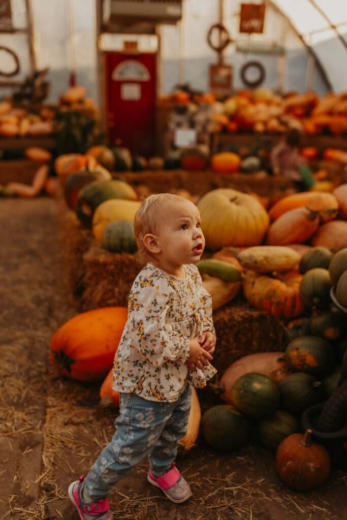 Edmonton's best halloween activity for young families