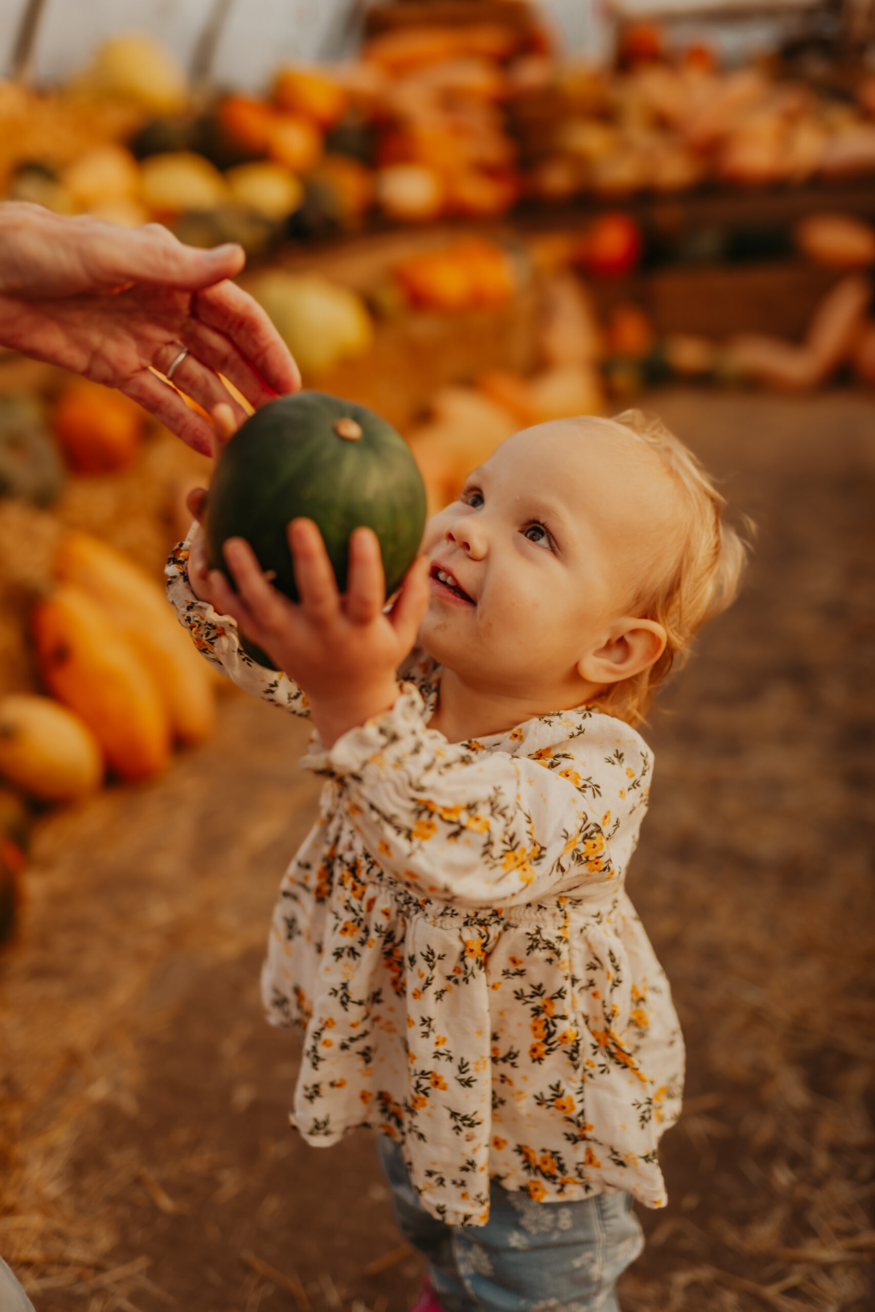 Edmonton's best halloween activity for young families