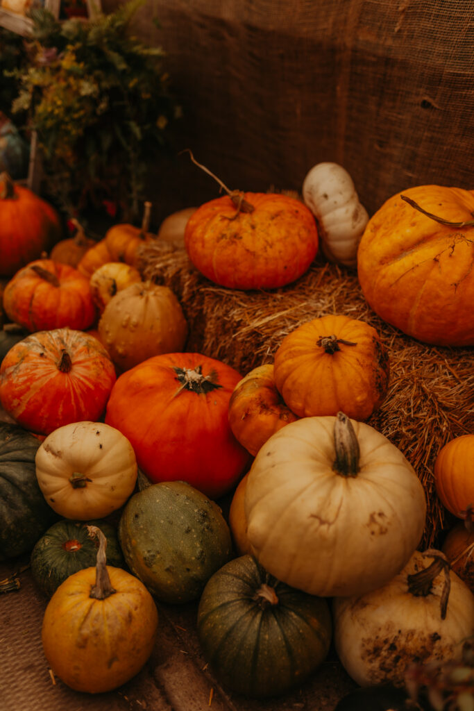 Edmonton's best halloween activity for young families