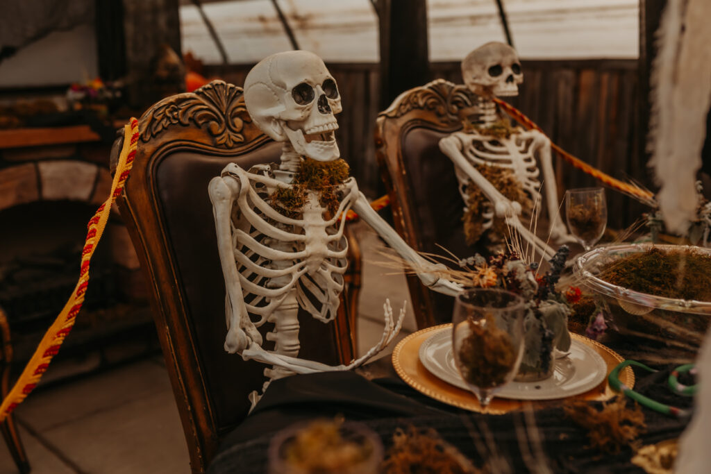 Edmonton's best halloween activity for young families
