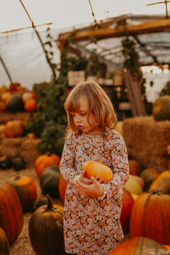 Edmonton's best halloween activity for young families