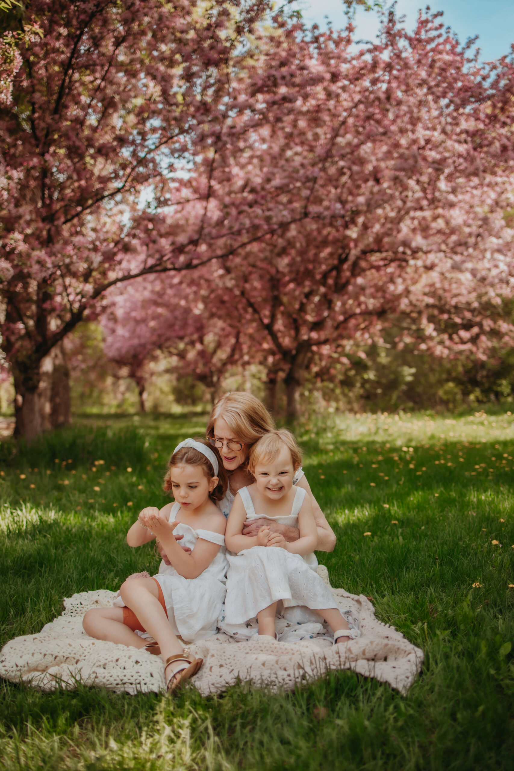 Edmonton family photos at the cherry blossoms